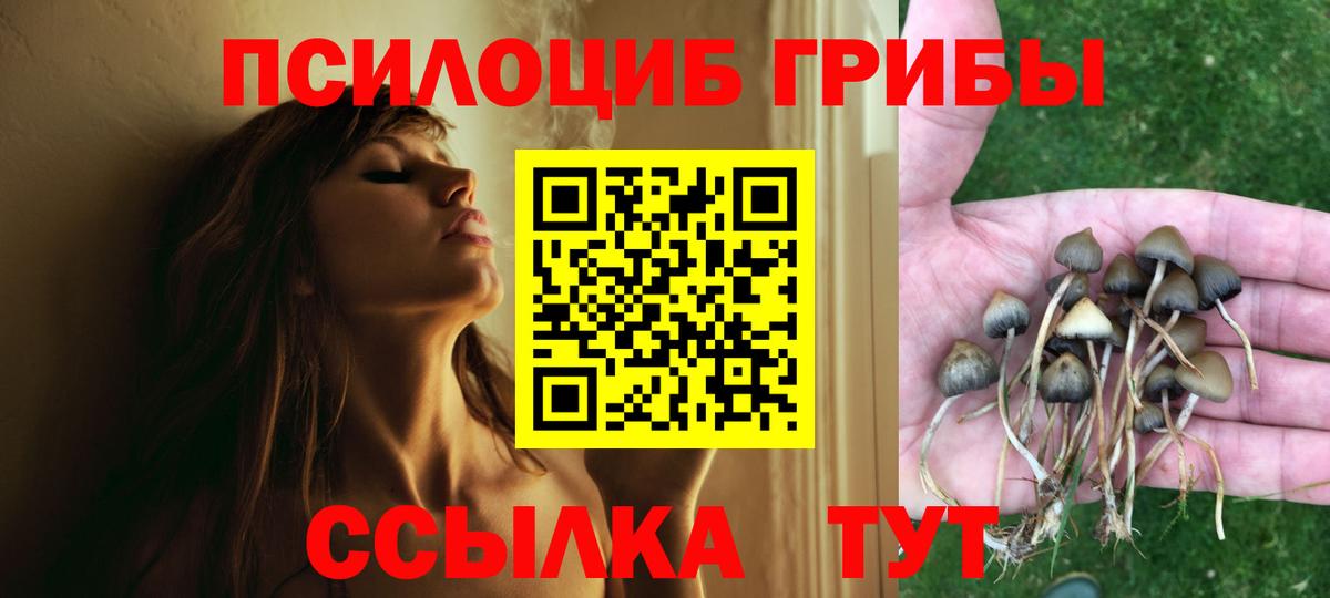 Галлюциногенные грибы прущие грибы Свободный