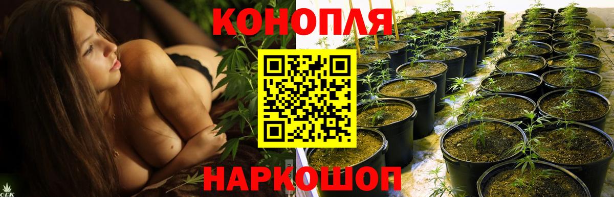 Марихуана гибрид  Бошки Шишки AK-47  Вход с VPN  Канабис OG Kush  Свободный 
